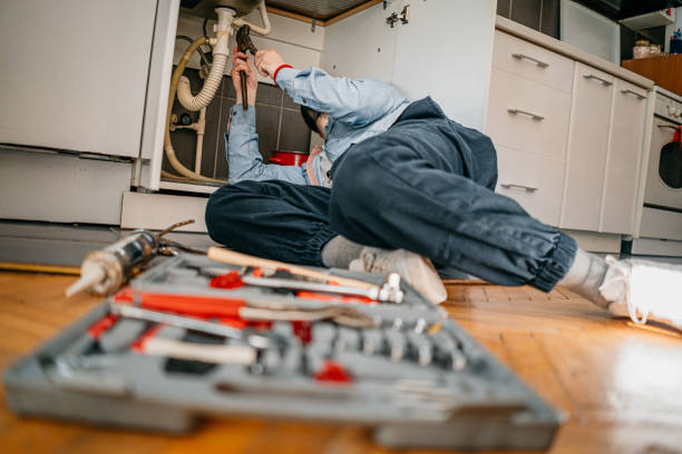 Best Septic Systems  in Indian River, MI