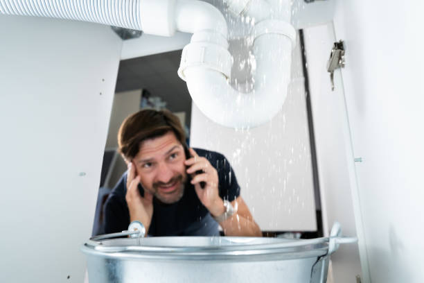 Best Emergency Plumber  in Indian River, MI