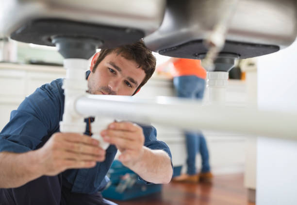 Best Affordable Plumbing Services  in Indian River, MI