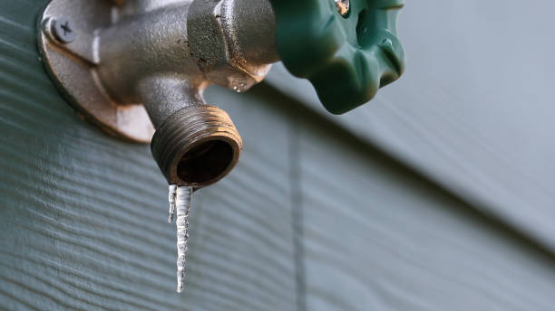 Best Clogged Drain Plumber  in Indian River, MI