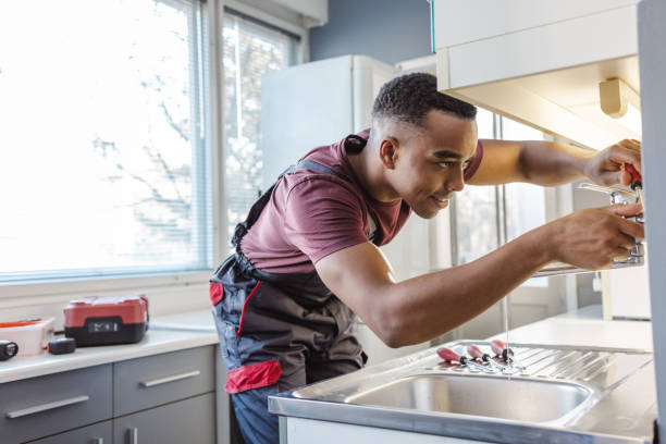 Best Affordable Plumbing Services  in Indian River, MI
